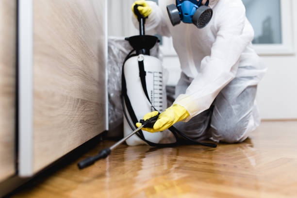 Best Residential Pest Control  in The Pinehills, MA