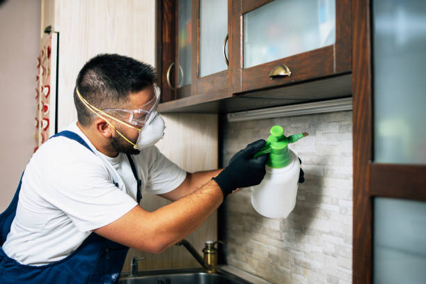Best Rat Extermination Near Me  in The Pinehills, MA