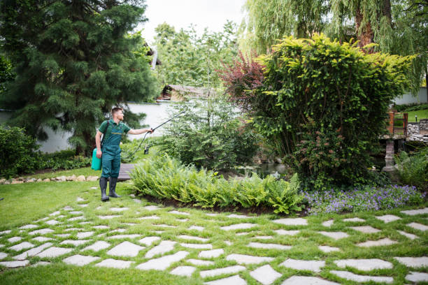 Best Mosquito Control Services  in The Pinehills, MA