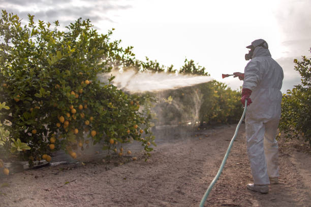 Best Flea Control Services  in The Pinehills, MA