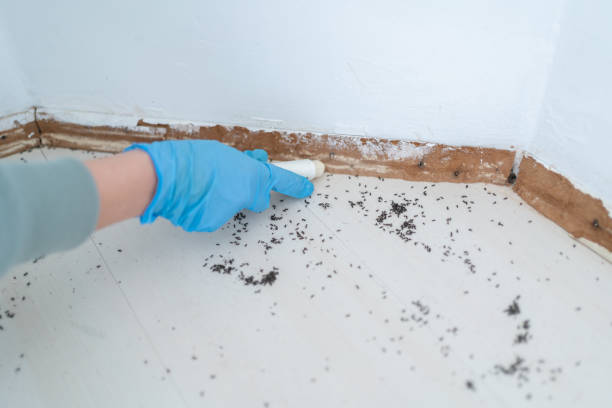 Best Best Pest Control Companies  in The Pinehills, MA